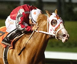 Los Alamitos