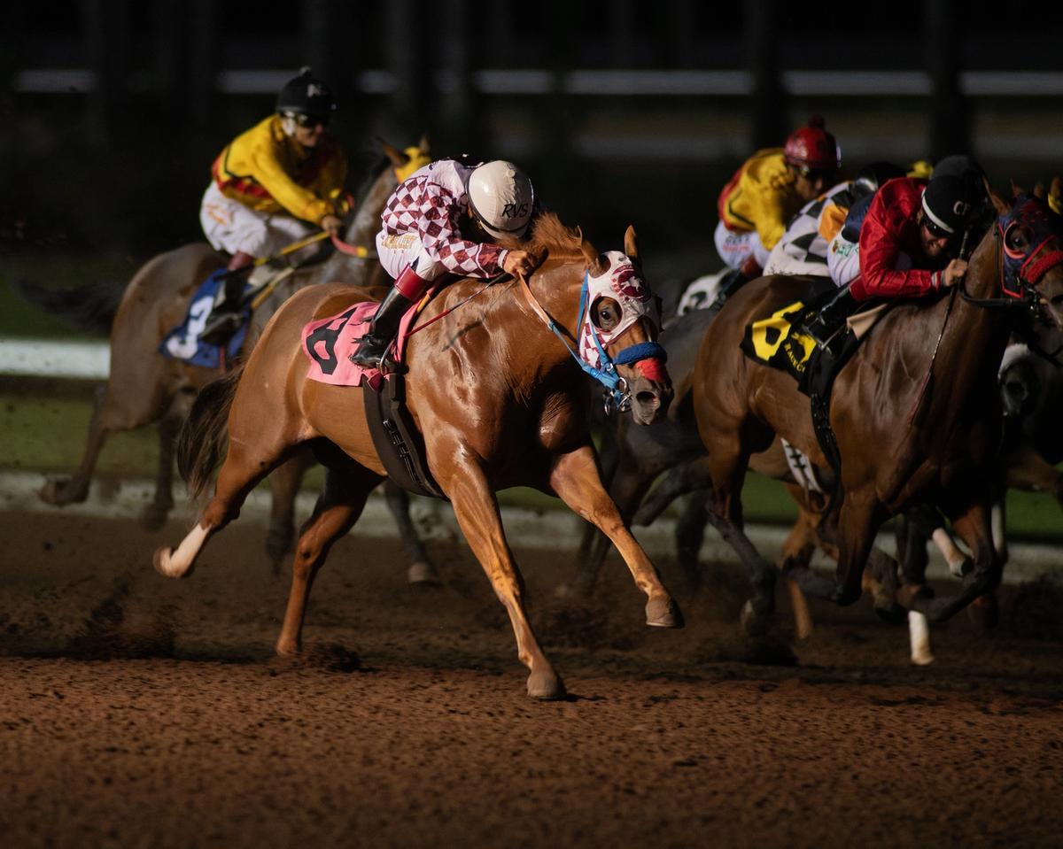 Fastest Qualifier Hi Octane Powers To First Stakes Win In Grade 2, $171,900 Golden State Derby At Los Alamitos