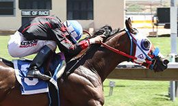 Running To The Moon and jockey Calderon is the 5/2 morning line favorite in the $625,000 (est.) All American Oaks, presented by Rolling Still Vodka and Ponderosa Whiskey..