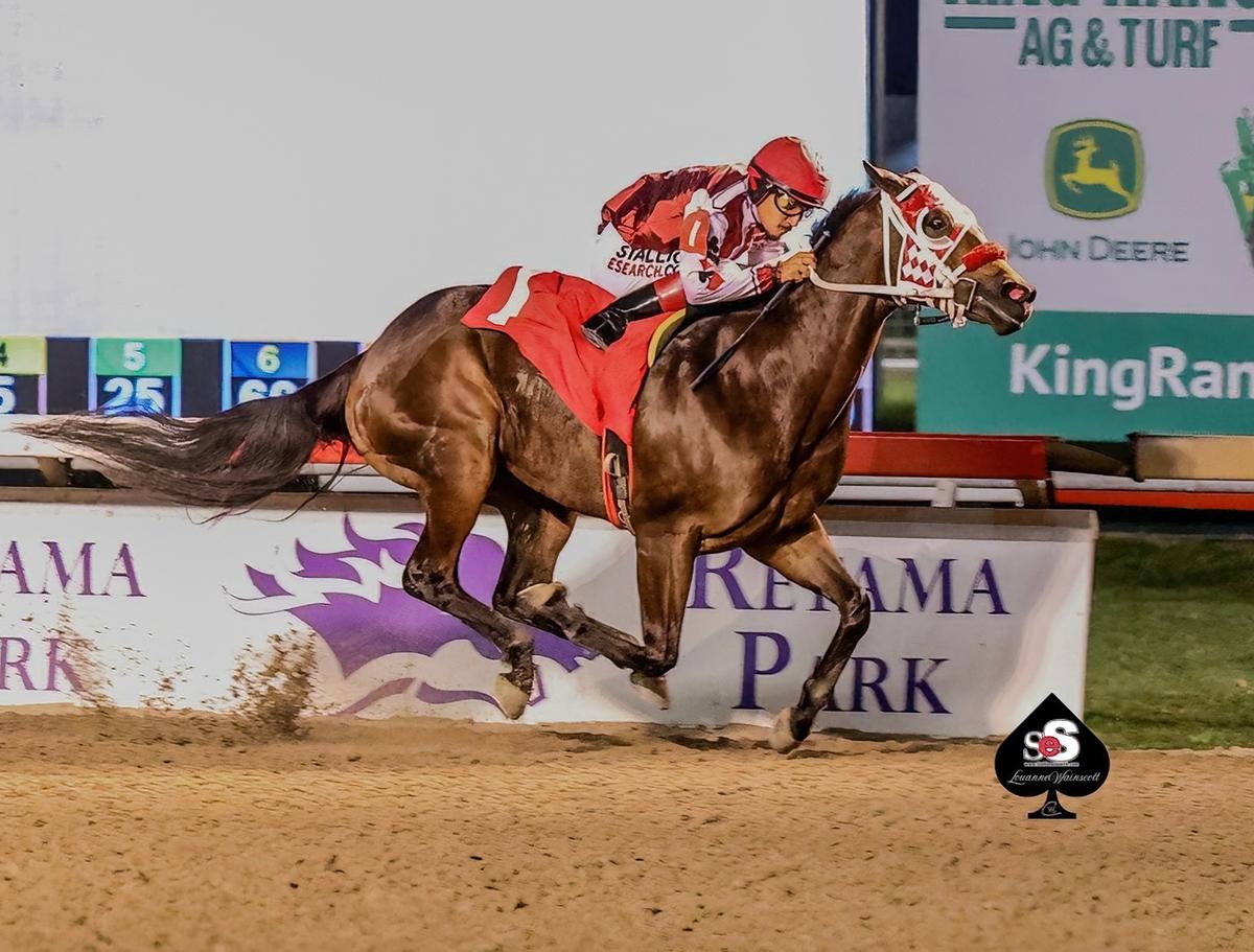 Excitement Builds As 280 Juveniles Chase A Place In Quarter Horse Racing’s Richest Prize
