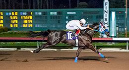 Brown Coffeee dominated the Winter Derby final while posting a 1-1/2 length victory at Los Alamitos Race Course.