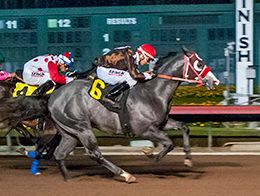 Los Alamitos