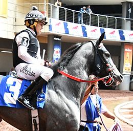 Bolt Thru My Heart is the morningline favorite in Sunday’s Jesús Nuchi Jiminez Sánchez Classic at the Hipodromo de las Americas.