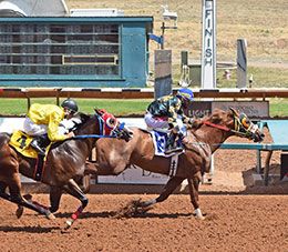 Apollitical J Legacy breaking his maiden in his career debut while qualifying for the Grade 1 Ruidoso QH Futurity at Ruidoso Downs.
