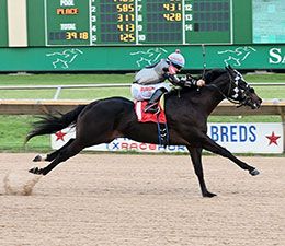 Sale graduate. Gotagogh was honored as TQHA Champion 2-year-old Colt .
