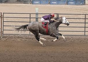 Rtm Ginsburg Flies Home In Red, White And Blue Jeans Quarter Horse Maturity
