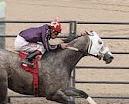 Rtm Ginsburg Flies Home In Red, White And Blue Jeans Quarter Horse Maturity