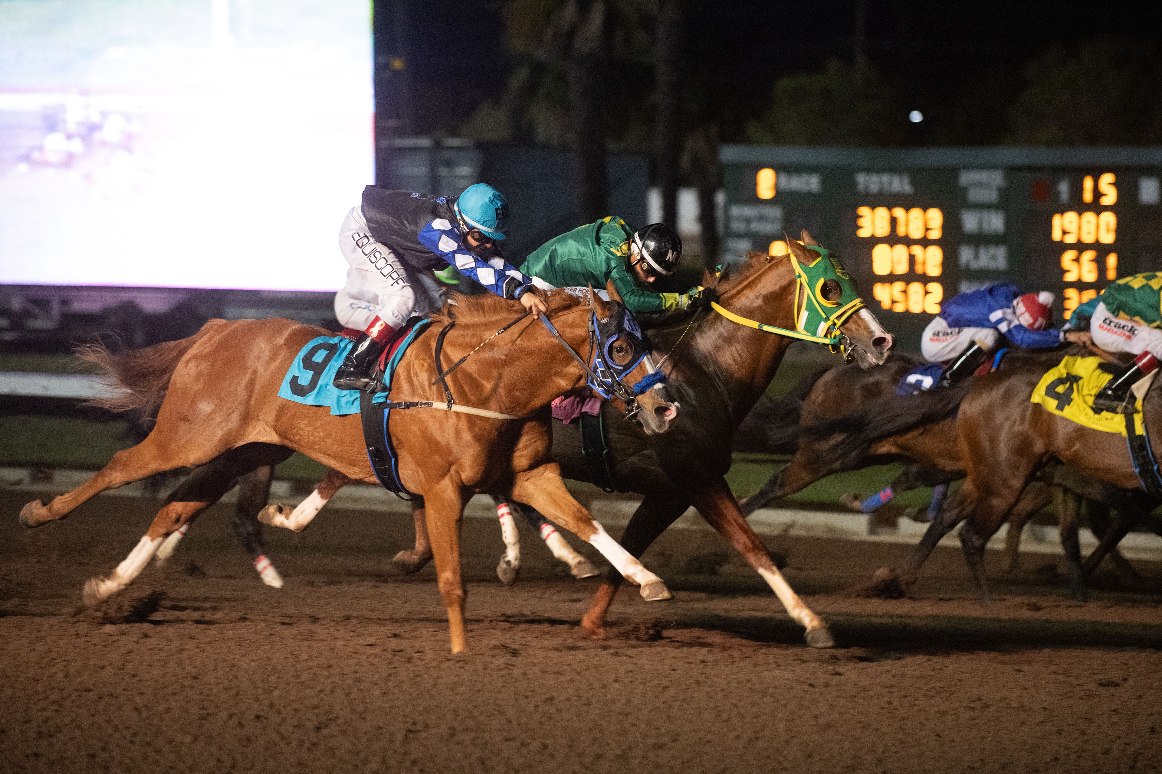 Favorite Jawhawk (green blinkers) defeating two-time AQHA Racing Champion Leathal Cowboy 123 (#9) in the 2026 Grade 1 Brand McKenize Winter Championship at Los Alamitos Race Course.
