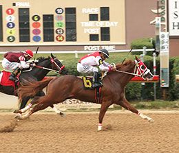 Hocksareback, under jockey Luis Vivanco, posted the second fastest qualifying time in trial 2 at Lone Star Park Saturday.