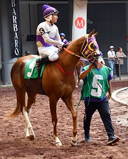 Aliredo Dynasty clocked the fastest time to the Subasta Selecta Futurity Consolation.