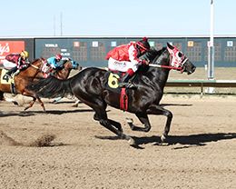 Where Is The Party, ridden by Martin Lazalde, wins the $14,000 Rocky Mountain Derby Consolation on Friday at Arapahoe Park.