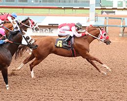 Victoria Salazar/Ruidoso Down