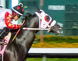 Los Alamitos