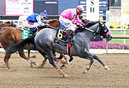 Jess Shakey Baby, under jockey Cristian Penzloza, winning the third trial on Saturday.