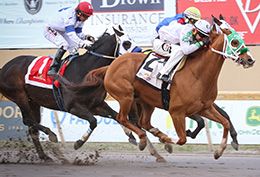 O Donovan Rossa, the defending champion of the Grade 2 Q-Racing Video Distance Challenge Stakes, returns to the 870-yard test at Remington Park after posting the second-fastest qualifying time for Saturday night’s final.