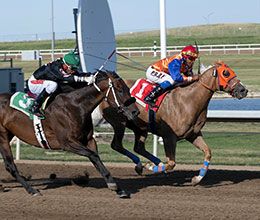 On Friday, Ss Pineapple (#1) holds off Rocky League to win the $15,402(US) CM Distance Stakes #1 at Century Mile Racetrack and Casino.