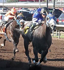 Mountain Top NM Bred Futurity winner Baby Daddy Cartel posted the fifth fastest clocking in the closing trial.