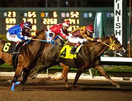 Cowboy Bolt (#4) and My Budd (#6) qualifying from the third trial.