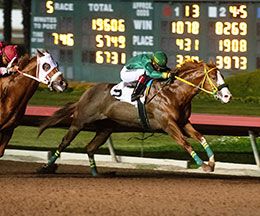 Jess Im Worth It, under jockey Ricardo Ramirez, defeats fellow qualifier Enforce in the fifth trial.