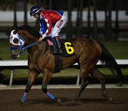 My Budd was second to Cowboy Bolt in trial three.
