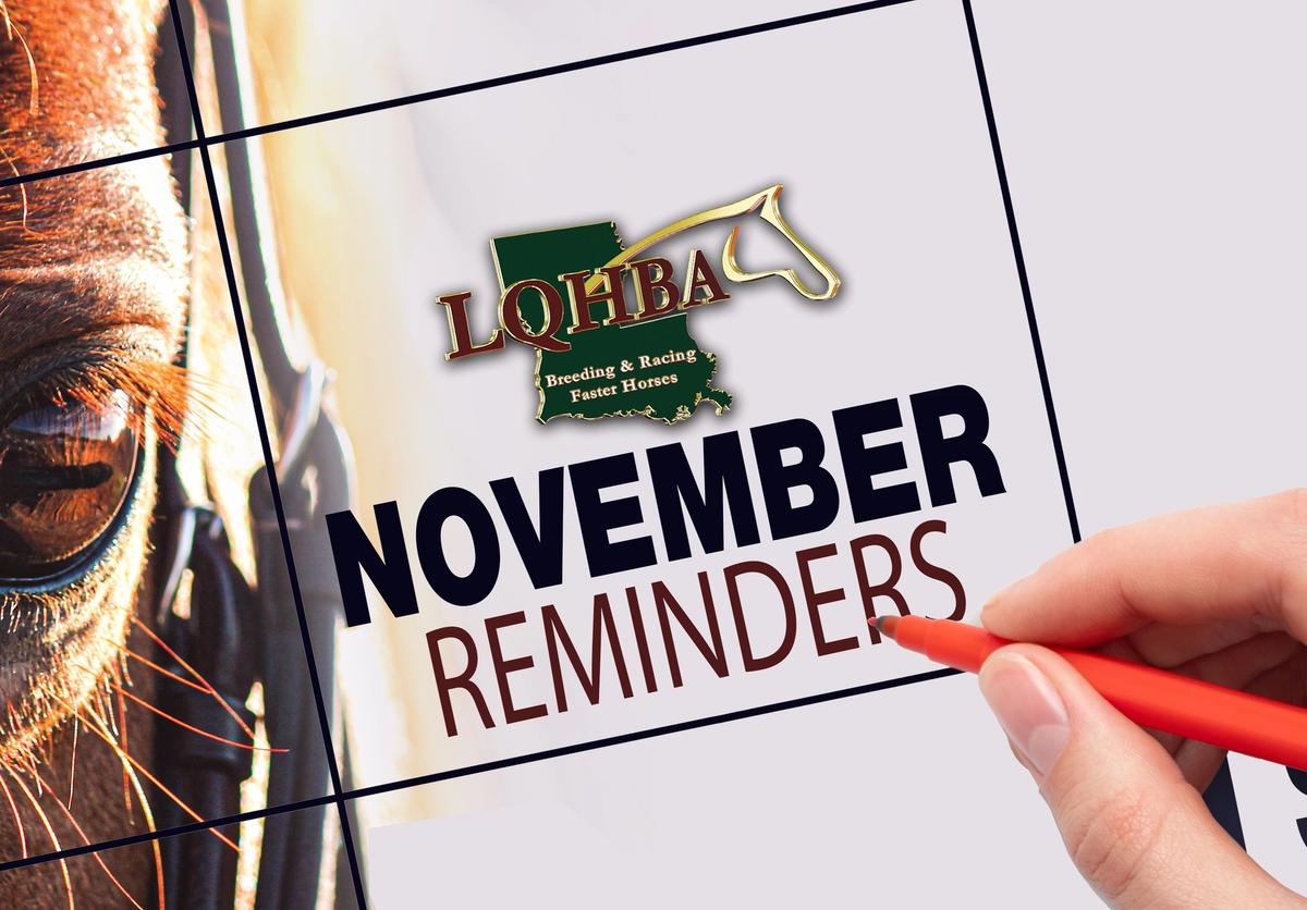 LQHBA Reminds Horsemen of November Nomination Deadlines and Trial Dates