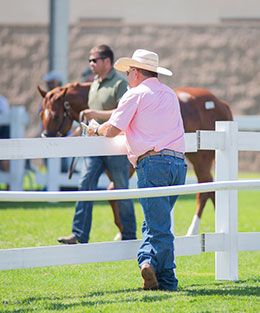 Los Alamitos Equine Sale