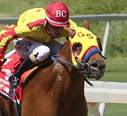 Graded stakes winner Heaven Uncle will be one of ten two-year-olds headed into the $358,864 Black Gold Futurity Championship (RG3) on Tuesday at Will Rogers Downs.