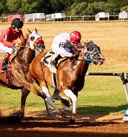 Gillespie County Fair