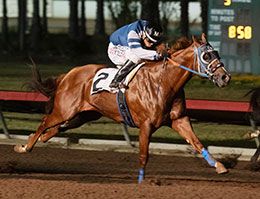 Devils Tower, under jockey Martin Arriaga, posted the fifth fastest time in the third trial on Sunday night.