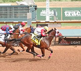 Victoria Garcia / Ruidoso Downs