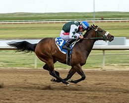 Ryan Haynes/Coady Photography, Ltd.