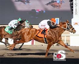 Baby Ruth, under jockey Edwin Escobedo, qualifies in the second Oklahoma Derby trial on Sunday.