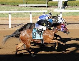 La Malicia (outside) became the fourth Quarter Horse winner for six-time leading Thoroughbred sire Into Mischief.