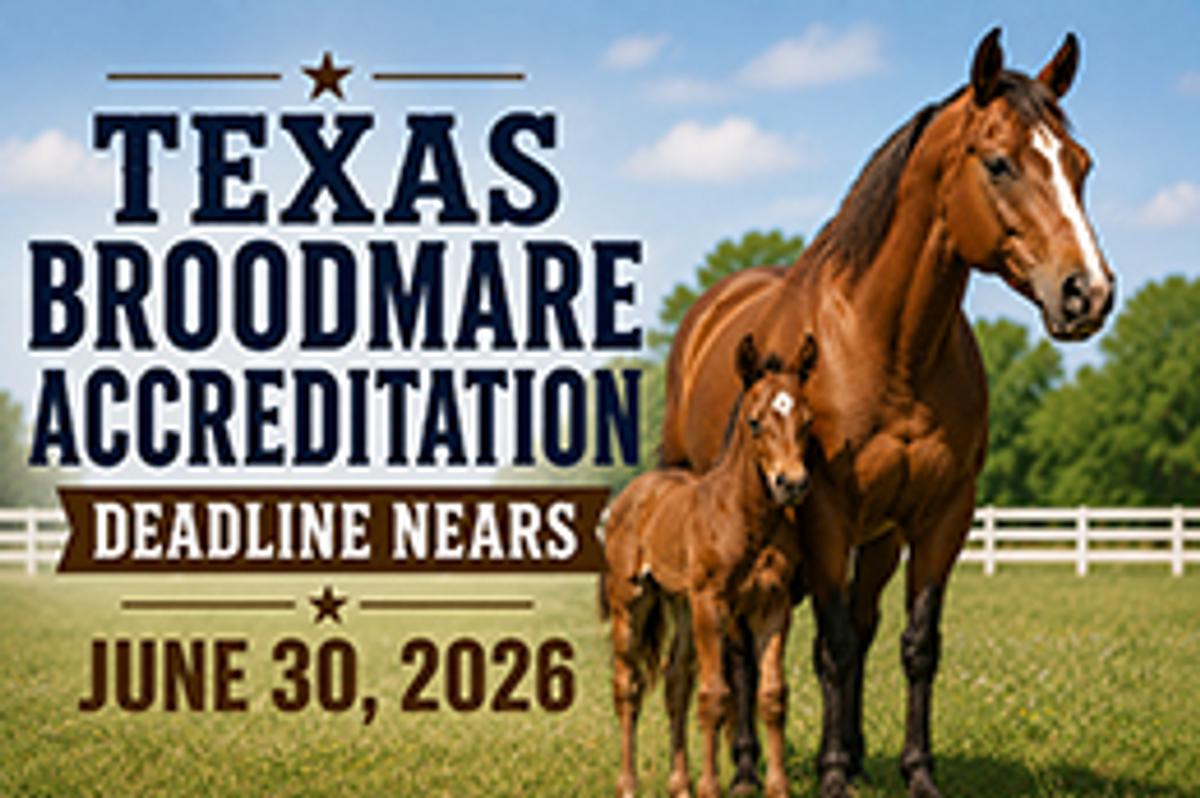 The Texas Quarter Horse Association reminds breeders that the deadline is approaching for get a reduced fee for Texas Broodmare accreditation.