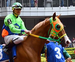 Dk Crystal Favorite will headline the Adequan Derby Challenge on Sunday