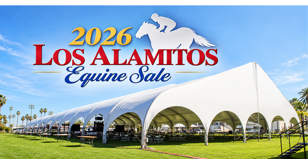 LOS ALAMITOS EQUINE SALE IS BRIMMING WITH TOP RACING PROSPECTS