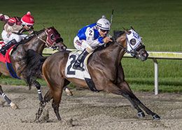 Hodges Photography