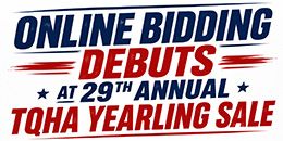 The 29th Annual TQHA Yearling Sale will return to the Freeman Expo Hall in San Antonio, Texas, on July 24 and 25.