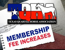 At the December 2025 TQHA Board of Directors meeting, the Texas Quarter Horse Association approved an increase to select membership categories.