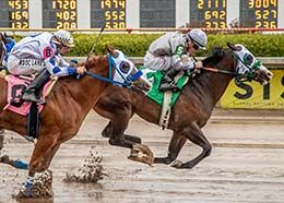 Jessapilottrain and jockey Arutro Alvarez qualifying in the final trial on Sunday.