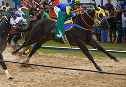 Marina Wagon MV winning the Rancho R&M Penca.