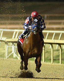 Just Dulce, under jockey Christian Ramos, won the $281,505 Texas Classic Derby (G1) at Lone Star Park.