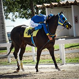 Jockey Ari Andrade, emotional after his victorious return to the racetrack.