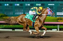 Rockin With Energy cruises to victory in the Debutante Stakes.
