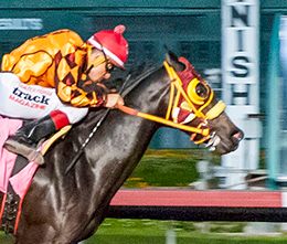 Los Alamitos