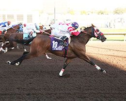 Kj Bad Moon Rising, under jockey Adrian Ramos, won the $1,160,420 New Mexico State Fair Quarter Horse Futurity(RG2) bat The Downs in Albuquerque Sunday.