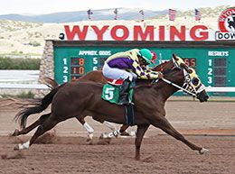 A Dash Of Steffie battles Papas Tribe (inside) as the pair post the second and third fastest time in the third trial.