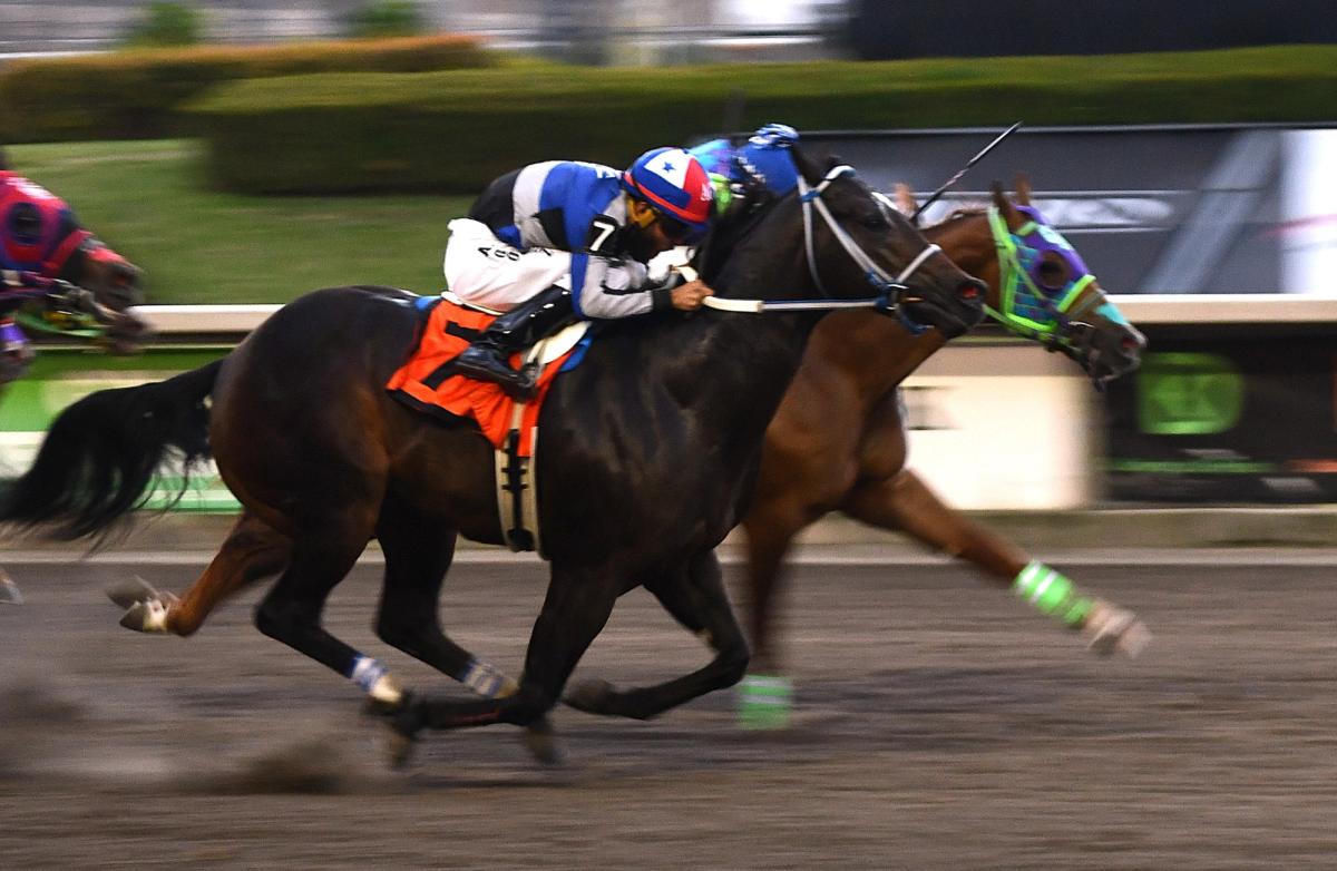 Already Favorite Prevails in $81,148 Clasico Alfredo Castro Rea