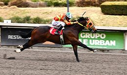 Kc Nocturno, runner-up in the Mexico Futurity, will look to earn a berth in the Restricted Grade 2 Garanones Futurity Final during Sunday’s trials at Hipódromo de las Américas.
