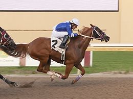 Dustin Orona Photography/Remington Park